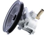 Stark SKHP-0540149 - Servo Pompa Oe 1359649 Per 306