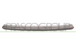 Prasco RN3271255 - Oe 620843348R Modanatura, Paraurti Anteriore, Per Clio Iii