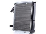 Stark SKRD-0120482 - Oe 7700804240 Radiatore, Raffreddamento Motore Per Clio I