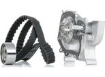 Stark SKWPT-0750316 - Set Pompa Acqua + Cinghia Di Distribuzione Oe 77 00 736 085 Per Megane Scenic, Megane I, Clio I