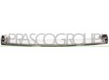 Prasco RN0902206 - Oe 623850001R Modanatura, Griglia Radiatore Per Fluence (L3)