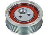 Maxgear 54-0483 - Oe 77 00 862 743 Puleggia Folle, Cinghia A V Per Espace Iii (Je), Laguna I, Safrane Ii (B54)