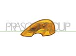 Prasco RN3084103 - Oe 8200267914 Indicatore, Specchio Esterno Destro Per Modus (F/JP0)