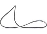 Gates 2PJ800 - Cinghia A V Oe 1H0119137 Per Toledo I (1L2), Polo (6N), Polo (6V), Golf Iii (1H), Golf Cabriolet (1E), Passat (35I), Vento (1H)