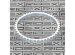 Ridex 2254S0015 - Anello Abs Oe 7700 856 416, Asse Anteriore Per Clio Ii, Espace Ii (J), Espace Iii (Je), Kangoo (Kc), Kangoo (Fc), Laguna I, Laguna Ii, Megane I, Megane Ii, Megane Scenic, Twingo I (C06)