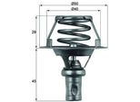 Mahle Tx 66 91D - Oe 7700 742 617 Termostato Acqua Di Raffreddamento Per Rapid, Clio I