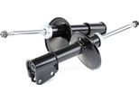 Ridex 854S1814 - Ammortizzatore Oe 77 00 421 668 Per Twingo I C06, Twingo I S06