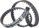 Gates 5192XS - Cinghia Di Distribuzione Oe 73710031A Per Clio I, Megane I, Megane Scenic, Rapid