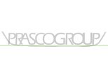 Prasco RN4282305 - Oe 620720169R Modanatura, Paraurti Anteriore, Per Megane Iii