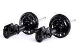 Stark SKSA-0133436 - Ammortizzatore Oe 54 30 200 14R, Asse Anteriore Per Laguna Iii