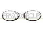 Prasco RN4281249 - Telaio Oe 261527339R, Fendinebbia Per Megane Iii