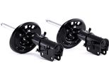 Ridex 854S2325 - Ammortizzatore Oe 54 30 200 14R, Asse Anteriore Per Laguna Iii