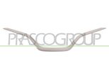 Prasco RN7002206 - Oe 620788128R Modanatura, Griglia Radiatore Per Captur I (H5, J5)