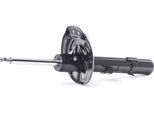 Ridex 854S2409 - Ammortizzatore Oe 54 30 250 05R, Asse Anteriore Per Grand Scenic Iv R9, Megane Iv