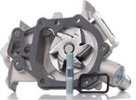 Stark SKWP-0520535 - Pompa Acqua Oe PA10079 Per Twingo I (S06), Twingo I (C06), Kangoo (Fc), Kangoo (Kc), Clio Ii, Clio I