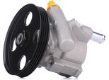 Stark SKHP-0540163 - Servo Pompa Oe 491100219R Per Sandero, Clio I, Clio Ii, Kangoo (Kc), Kangoo (Fc), Megane I, Megane Scenic