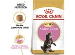 Royal Canin Feline Maine Coon Gattino - 400 G