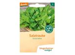 Rucola Da Insalata Ruca - Eruca Sativa