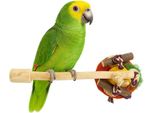 Java Pogo Con Giocattoli L - Un Pezzo Unico Di Natura Per Pappagalli Di Medie E Grandi Dimensioni