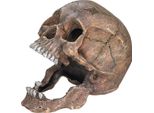 Ornamenti Ad Acqua "Totenkopf"" 13,5 X 20 X 16,5 Cm"