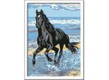 Cavallo Ravensburger Sulla Spiaggia