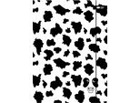 Cartella Elastica A4 In Bianco E Nero Happy Color
