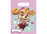 Paw Patrol Skye & Everest 6 Sacchetti Party