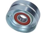 Puleggia Tendicinghia Ford Transit 2.2Tdci 06- Metallo