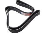MASTER-SPORT 6PK1620-PCS-MS Cinghia A V, Cinghia Piatta Per Opel Astra H Furgone/Station Wagon (L70)