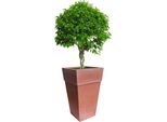 Bama Blumentopf Sensatione 50 Cm, Terracotta