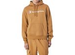 Felpa Con Cappuccio In Pile Champion Big Logo Uomo