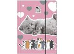 Cartella A4 Cleo E Frank Cat Con Gomma 39 Derform