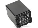 Cellonic, Batteria Per Fotocamera, Compatibile Con Panasonic HC-X920 / X920M, VW-VBN130, HC-X910 (7.4V, 3300Mah)