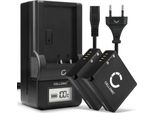 Cellonic, Batteria Per Fotocamera Compatibile Con Panasonic DMW-BLG10E, Lumix DC-TZ90, DMC-GX80 (7.4V, 980Mah) 2 Pezzi + Caricabatterie