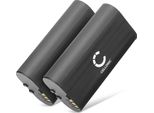 Subtel, Batteria Per Collare Per Animali Compatibile Con Sportdog Tek 2.0 Gps (6400Mah, 3.7V) 2X Batteria Di Ricambio Sportdog 650-970, V2HBATT