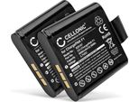 Subtel, Batteria Radio Compatibile Con Pure Evoke H4, Evoke D6, Evoke H6 (8800Mah) 2X