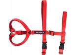 Pettorina Anti-Fuga Per Cani Riflettente Nelson-X Paw Taglia L