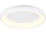 Trio Leuchten LED Deckenleuchte "Cardona, Runde LED Deckenlampe BüRo, Ø 62Cm, 4400 Lumen 38W, Dimmbar", Weiß (Weiß Matt), 1, Ø 62Cm H: 10Cm, 1 Stk., Leuchten, CCT - Lichtfarbe Einstellbar 2300/3000/4000K, Auch Wandmontage MöGlich, LED Deckenleuchte