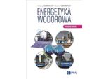 Generazione Di Energia A Idrogeno