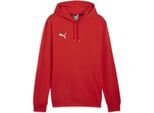 Puma Teamgoal Felpa Con Cappuccio Uomo - Rosso