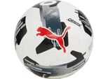Puma Orbita 2 Tb (Fifa Quality Pro) Calcio Bianco