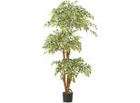 Ficus Benjamina Pianta Artificiale 165 Cm Con 2230 Foglie In Vaso Di Plastica 17X14,5 Cm
