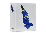 Vmc Album Per 304 Foto 10X15 Cm. Nessuna Descrizione Fiore Bianco Blu