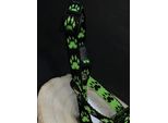 Museruola In Nylon Per Cani Palkar Misura. 0,5 14 Cm X 4 Cm Nero-Verde