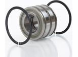 Cuscinetto A Rulli Cilindrici SL045004 -PP Id 20Mm Od 42Mm Width30Mm Ina