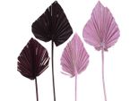 Miscela Di Foglie Di Palma Decorative Con Bacche Rosa E Bianche Lavate, Prodotto Naturale Per Servizio Funebre E Decorazione Della Tavola, 65 Pezzi
