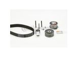 Set Di Distribuzione Vw 2.0Tdi