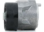 Tendicinghia Con Nervatura Poly-V Dayco APV2463