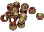 Kit Guarnizione Stelo Valvola Db M111
