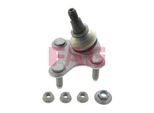 Perno Del Braccio Oscillante Anteriore Vw Passat 05- Le